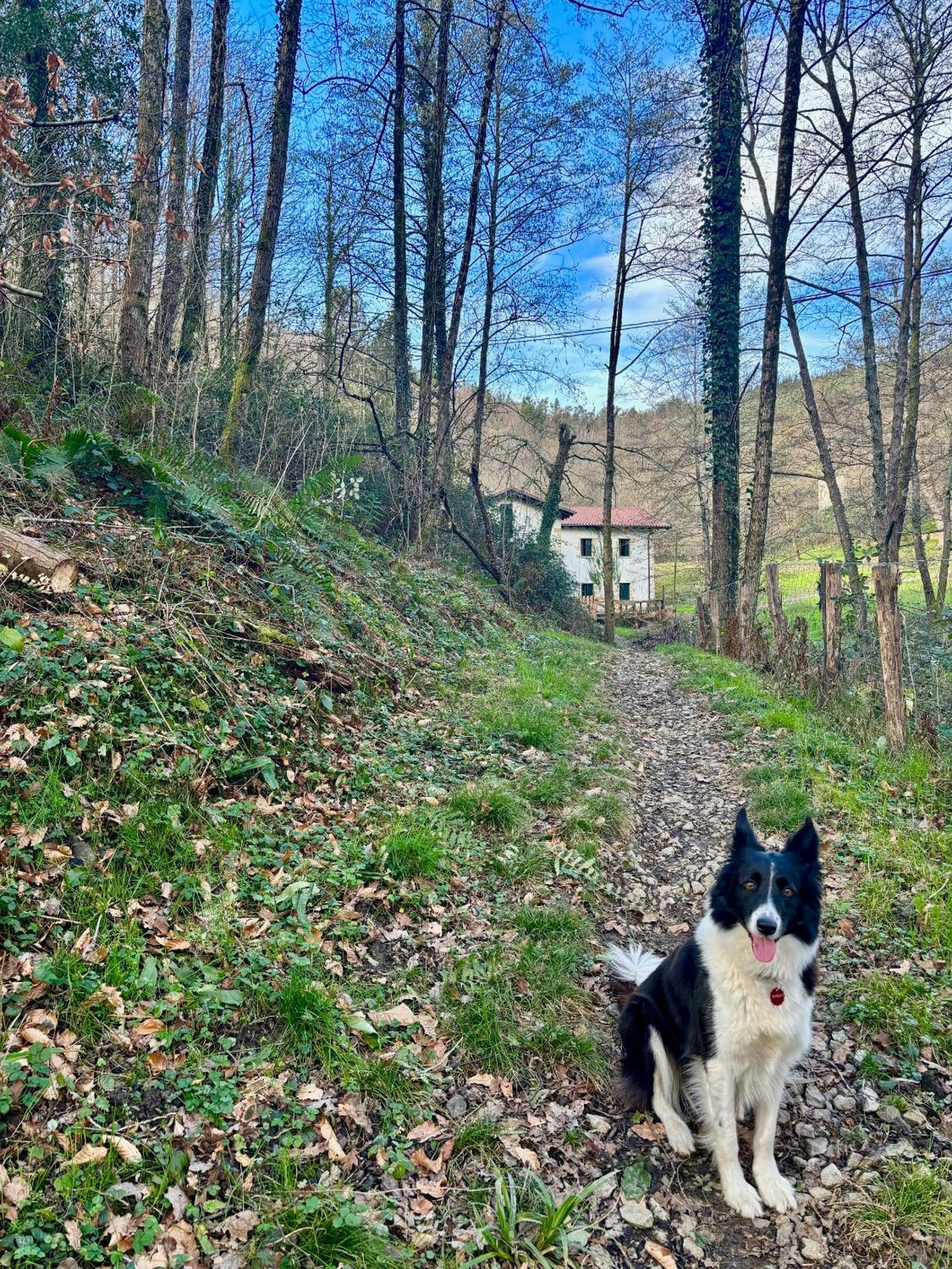 Casa Rural Passivhaus Kostoenea Hondarribia Buitenkant foto